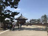 興福寺（こうふくじ）