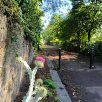 紐卡素街道打卡