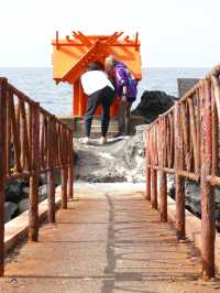 利尻島の海岸に佇む神秘の社「北のいつくしま弁天宮・龍神の岩」⛩🐉