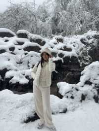 One Day Trip Chengdu to Wawu Shan 