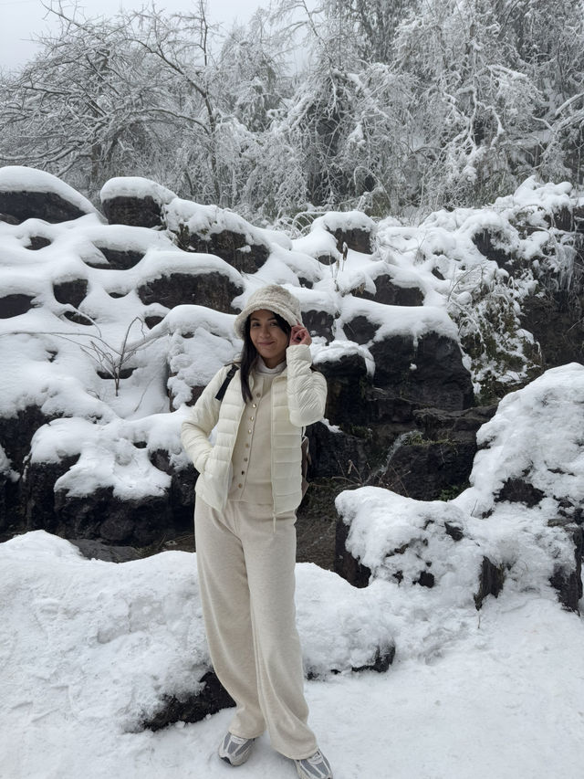 One Day Trip Chengdu to Wawu Shan 