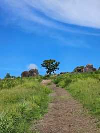 巨石が点在する古代の聖地と称される、阿蘇のパワースポット