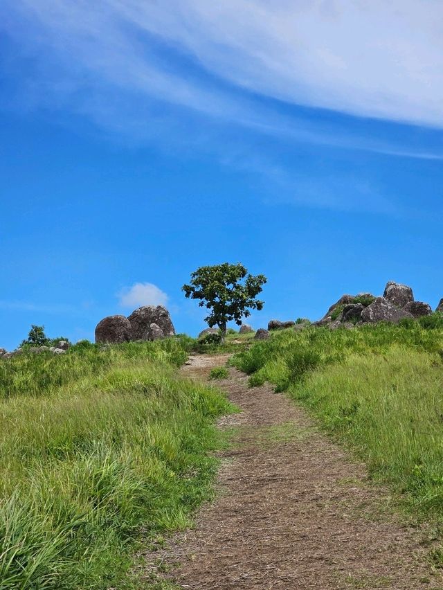 巨石が点在する古代の聖地と称される、阿蘇のパワースポット