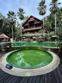 River Kwai Resotel ที่พักกลางป่าท่ามกลางความสงบ