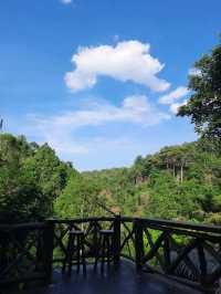 🌳 "บ้านต้นไม้" ที่พักและคาเฟ่สุดชิลล์ในเชียงดาว