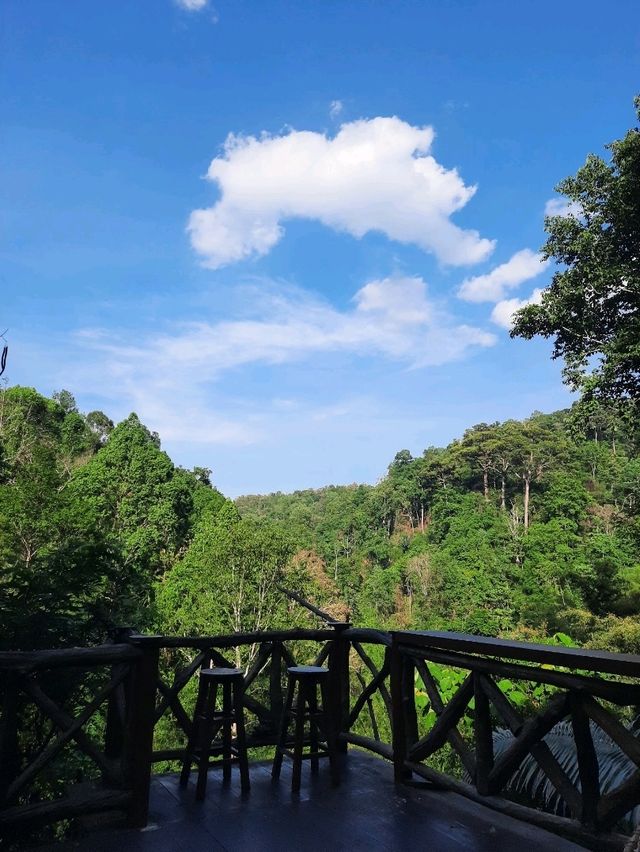 🌳 "บ้านต้นไม้" ที่พักและคาเฟ่สุดชิลล์ในเชียงดาว