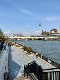 🚶‍♀️ Riverside Weekend Walk at the Sumida River