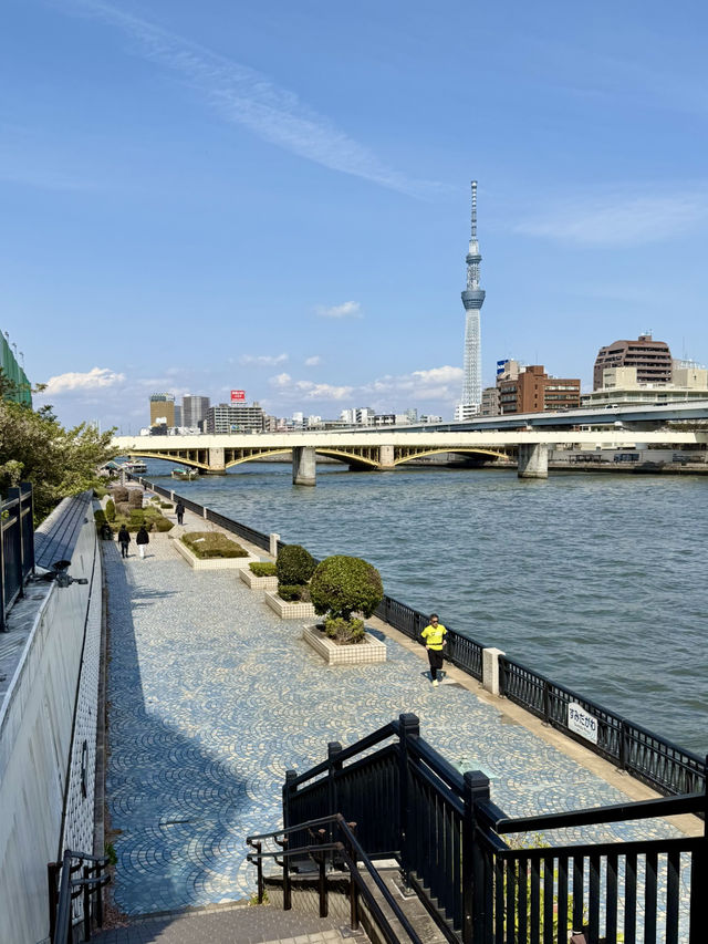 🚶‍♀️ Riverside Weekend Walk at the Sumida River