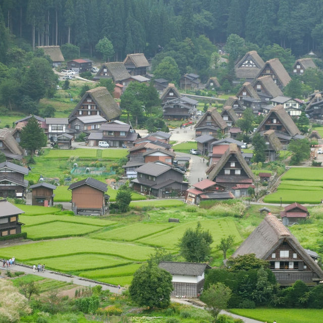 無人不曉的世界文化遺產一白川鄉合掌造