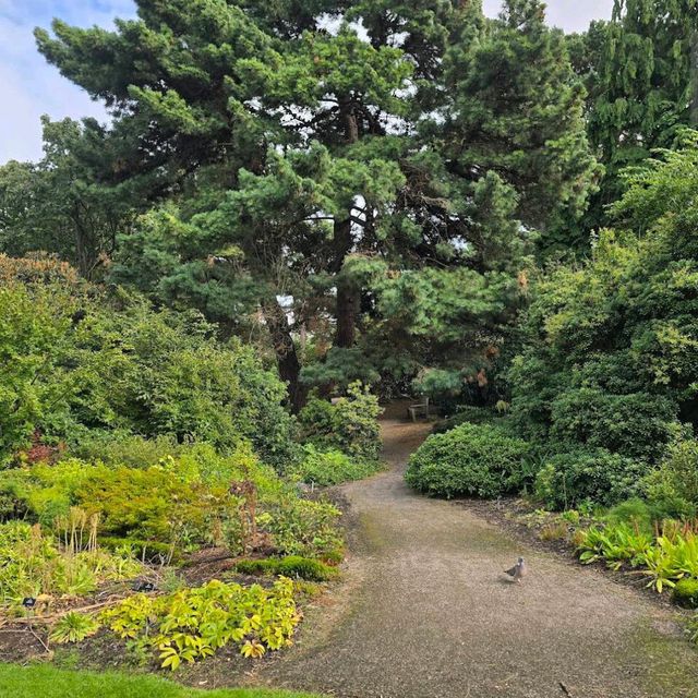 Royal Botanic Garden Edinburgh