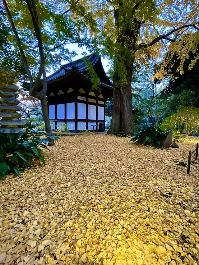 横浜にいながら古都の風情を感じられます！