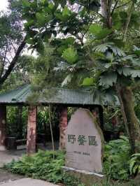 寓教於樂的親子天堂#臺北市立動物園-臺北市文山區