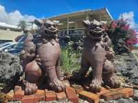 수영못함 미야코지마