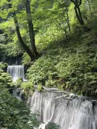 Tokyo to Karuizawa: A Hidden Gem Adventure!