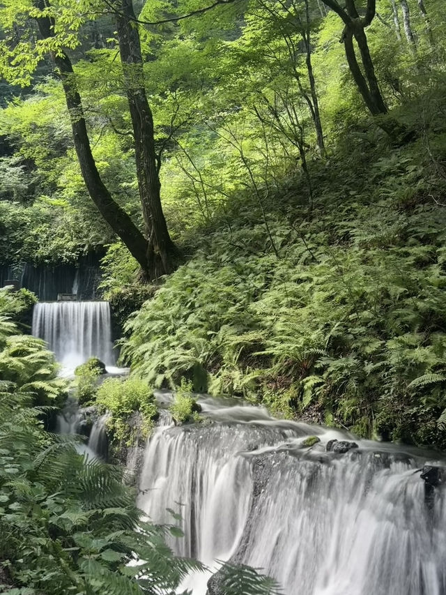 Tokyo to Karuizawa: A Hidden Gem Adventure! Tokyo to Karuizawa: A Hidden Gem Adventure!