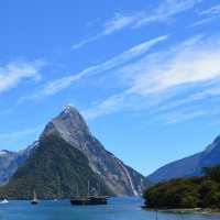 Milford Pure Bliss🛥️