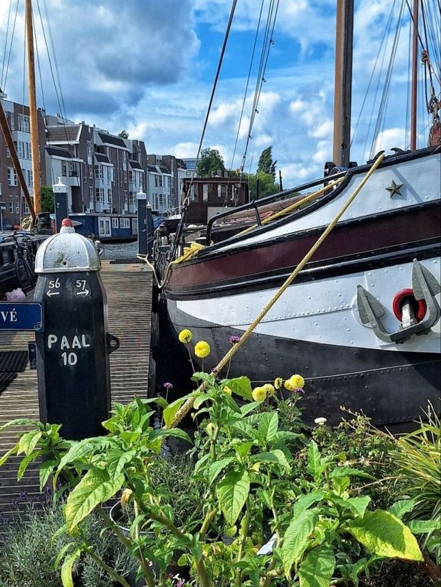 đ âReflections of Time â The Charming Galgewater of Leidenâ đ âReflections of Time â The Charming Galgewater of Leidenâ