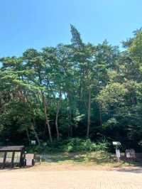 고즈넉한 풍경, 천은사 나들이🍃