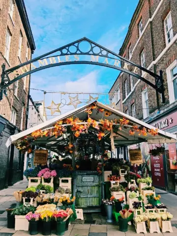 Shambles Market: A Canvas of Colour, Flavour, and Friendly Chaos