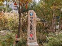 Kuche Grand Naan City: A Non-Genuine Cultural Journey on the Tip of the Tongue