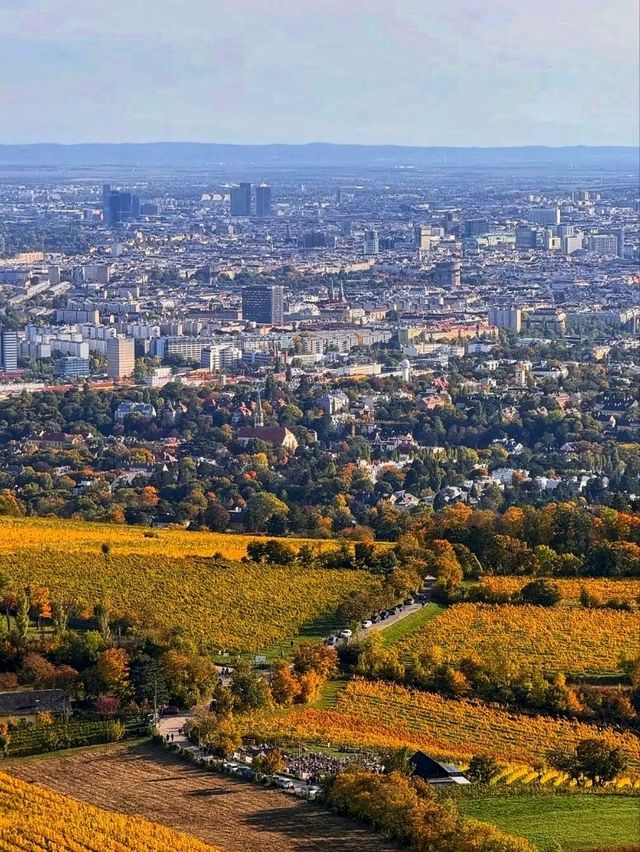 🌄✨ Kahlenberg – Vienna’s Scenic Skyline Escape