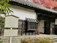 The Solo Day Out: Higashiyama Zoo & Botanical Gardens