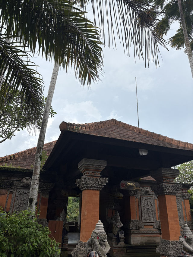 【バリ島おすすめホテル🇮🇩】ウブドエリア　チャンプアンホテル🌴✨