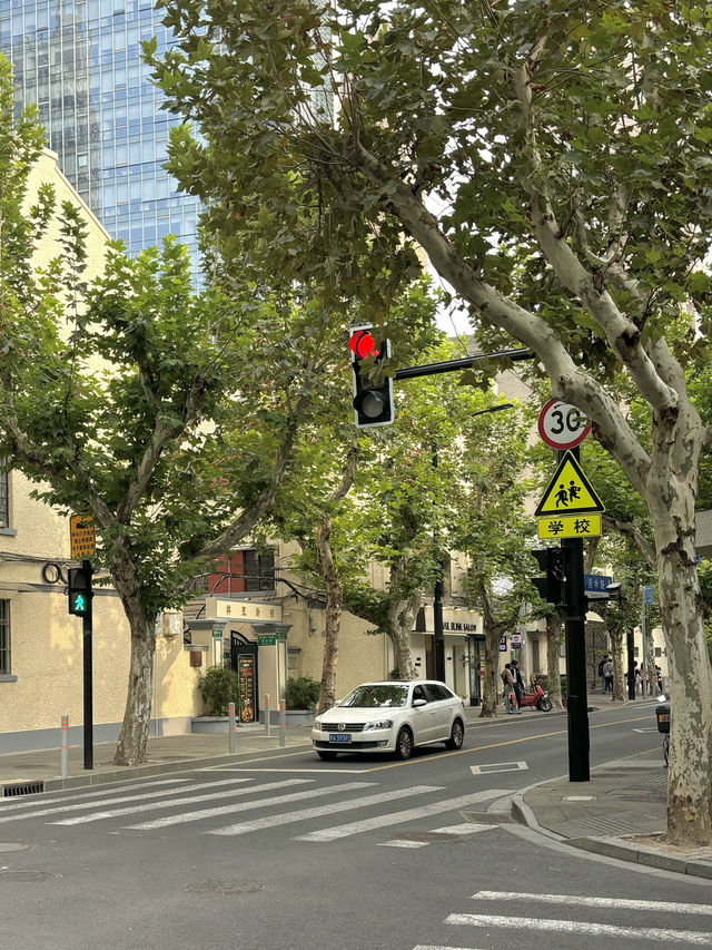 신천지 거리 신천지 거리