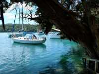 Underwater Playground For Curious Explorers