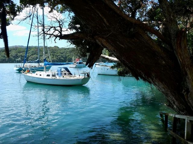 Underwater Playground For Curious Explorers