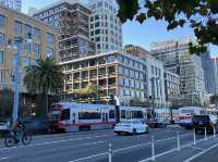 빛·바람·도심이 만나는 샌프란시스코 여행✈️