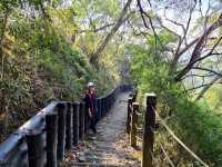 【新田步道・輕登小百岳-聚興山｜的山林小旅行】