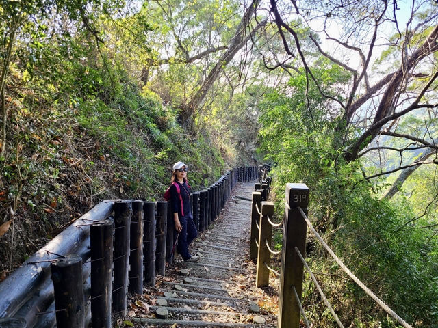 【新田步道・輕登小百岳-聚興山｜的山林小旅行】