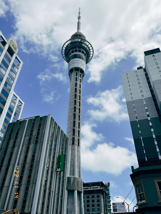 紐西蘭景點推薦—奧克蘭塔｜Sky Tower 的城市高度時刻