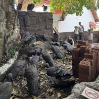 曼谷∣ 金山寺∣ 俯瞰全景的黃金聖山 