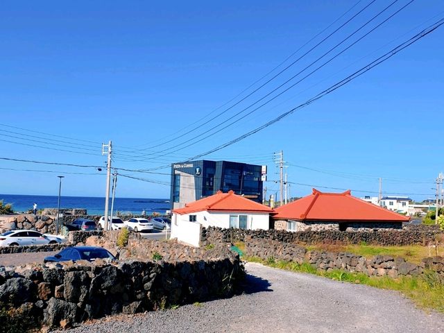 푸른 바다와 산이 어우러진 곳 📍제주도 푸른 바다와 산이 어우러진 곳 📍제주도
