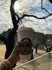 Shinjuku Gyoen National Garden