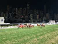 Happy Valley Racecourse - Superb restaurant in the atmosphere of Running Horse