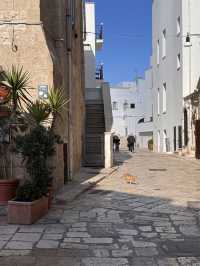 바다 위에 떠 있는 흰 도시, 폴리냐노 아 마레