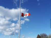 Queen Elizabeth Park