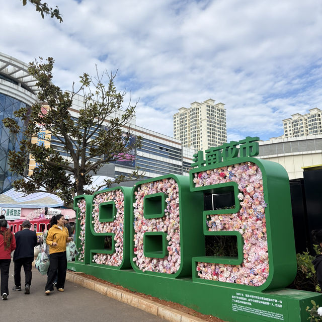 영원한 봄의 도시, 꽃이 지지않는 쿤밍