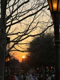 🏰上海迪士尼功略♡親身遊玩體驗~