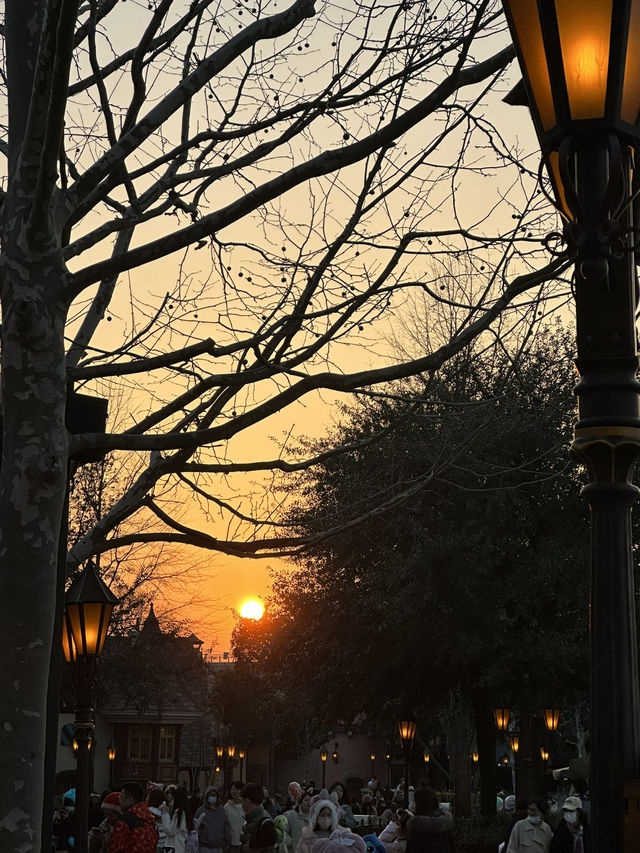 🏰上海迪士尼功略♡親身遊玩體驗~ 🏰上海迪士尼功略♡親身遊玩體驗~