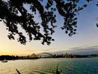 Sydney’s famous landmark view from  Mrs Macquaire’s chair 🇦🇺🌅