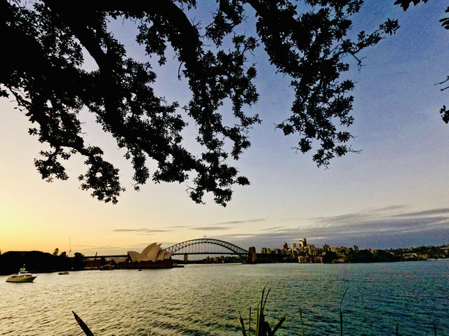 Sydney’s famous landmark view from  Mrs Macquaire’s chair 🇦🇺🌅