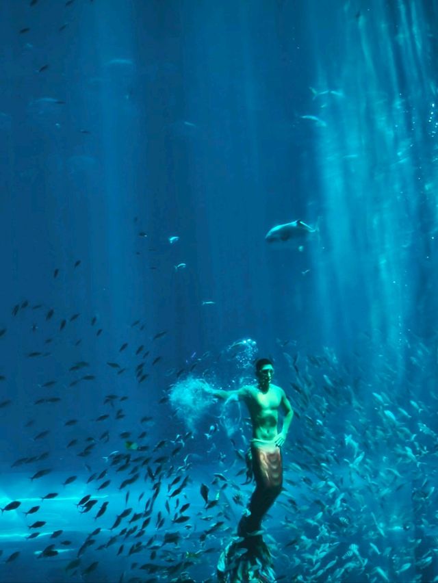 富國島珍珠樂園