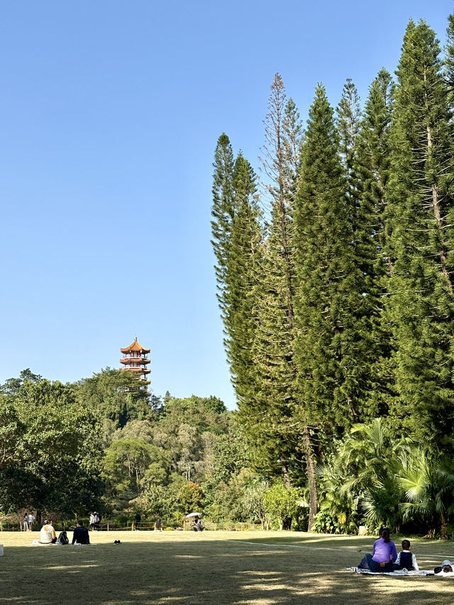 深圳仙湖弘法半日遊,自然療癒與禪意體驗 深圳仙湖弘法半日遊,自然療癒與禪意體驗