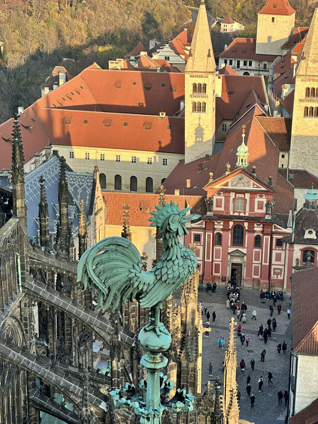 ํ๋ผํ์ฑ ํ๋ผํ์ฑ