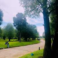 U Forests Cafe @ระยอง