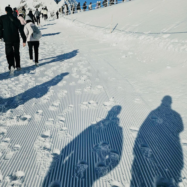 Scenic Ski Escape🗻 Scenic Ski Escape🗻